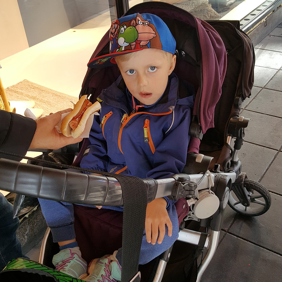 Elis kämpar för att få i sig maten.