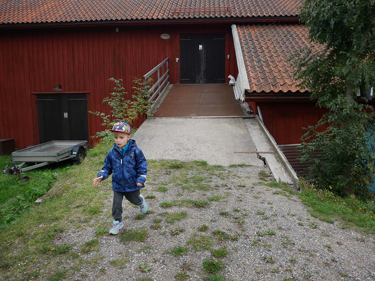 Elis springer utanför ladugården