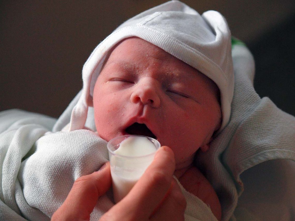 Elis koppmatas på sin födelsedag.