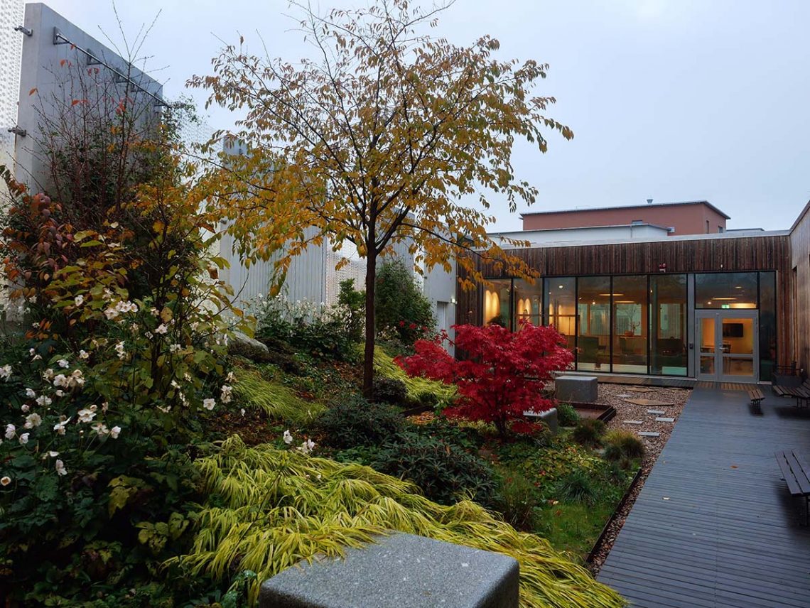 Trädgården utan för Skandions väntrum.