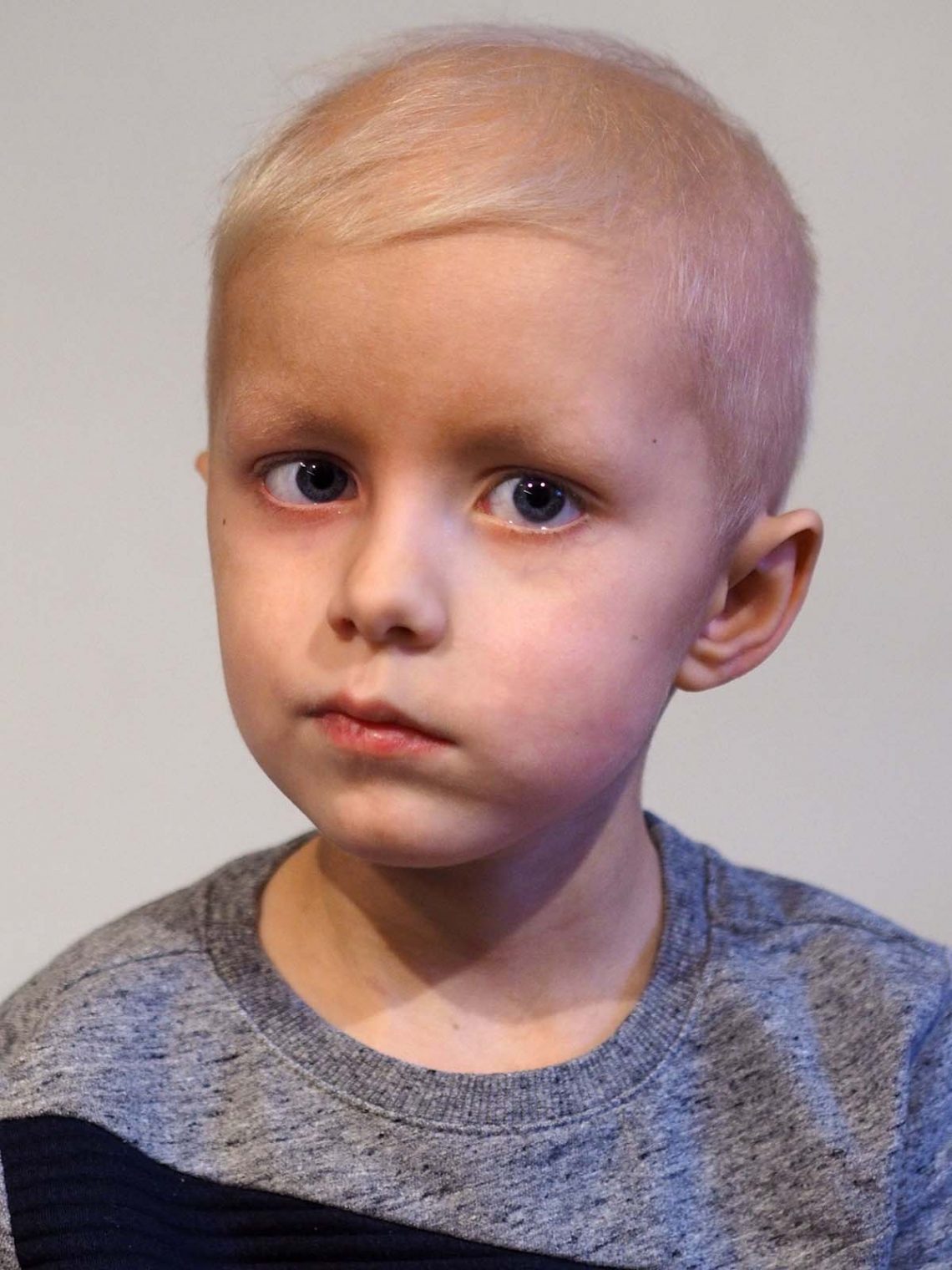 2017 års Elisporträtt