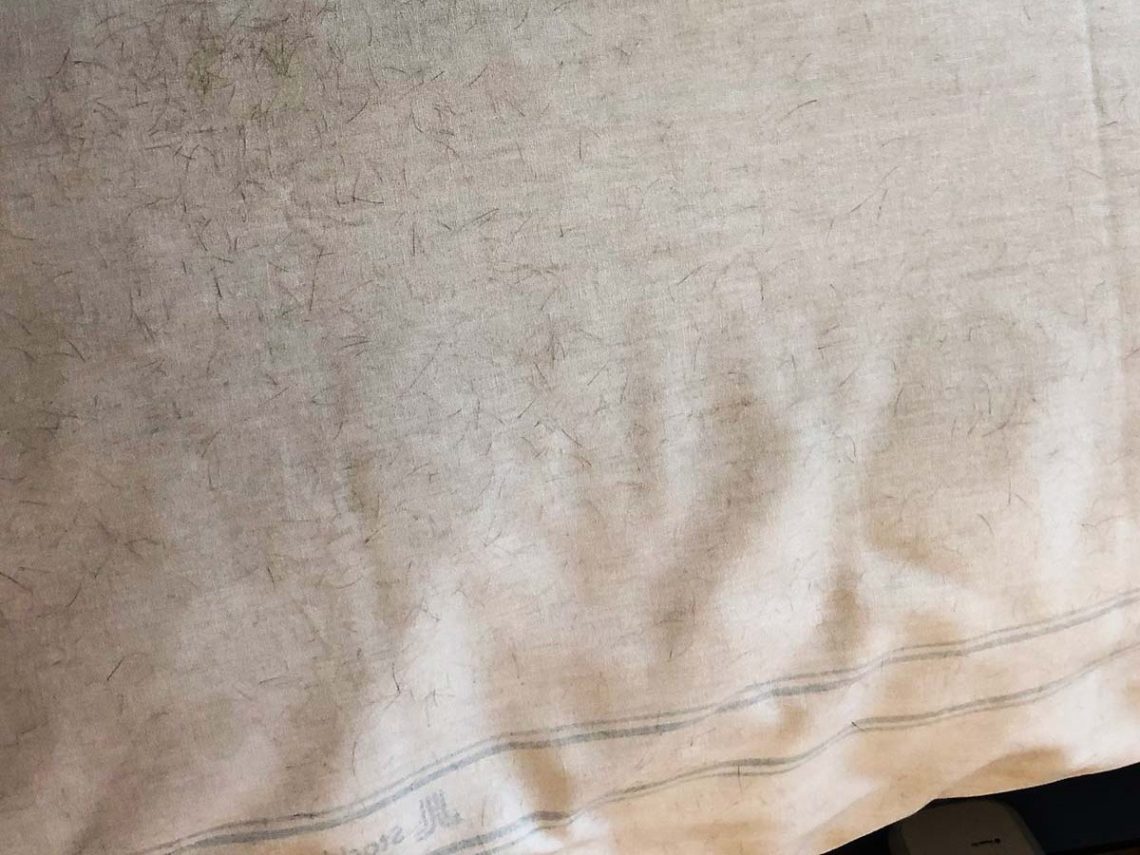 Hårstrån på Elis kudde.