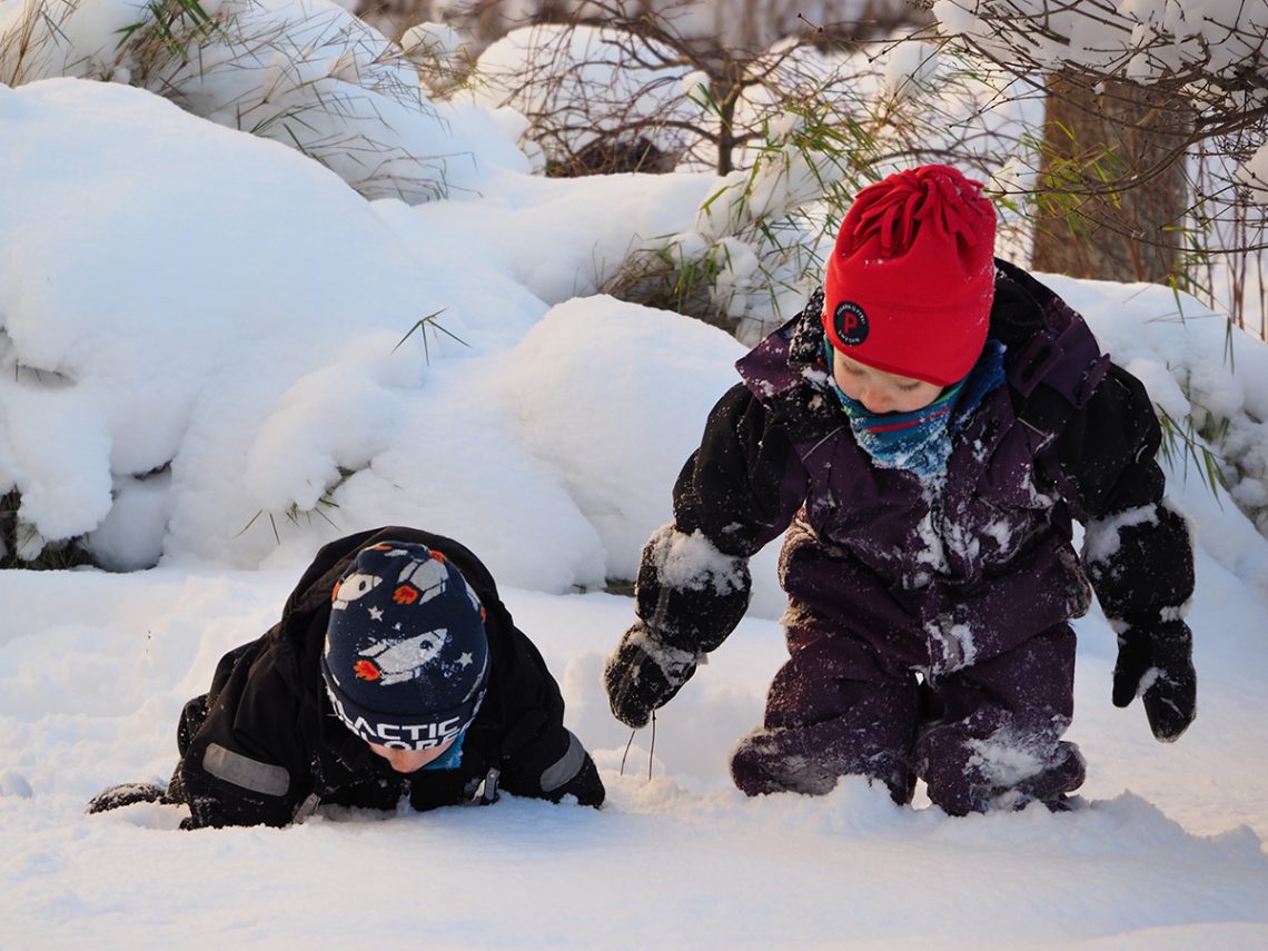 Elis och Folke leker i snön