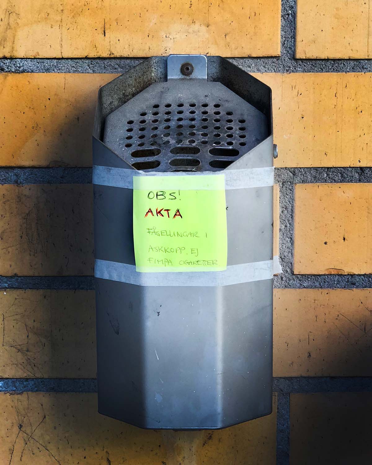 Askkoppen där det bor fågelungar