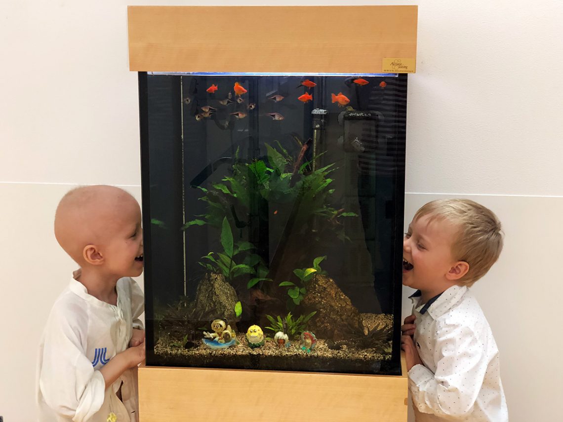 Elis Wikmark och Folke tittar på varandra genom sjukhusets akvarium och skrattar
