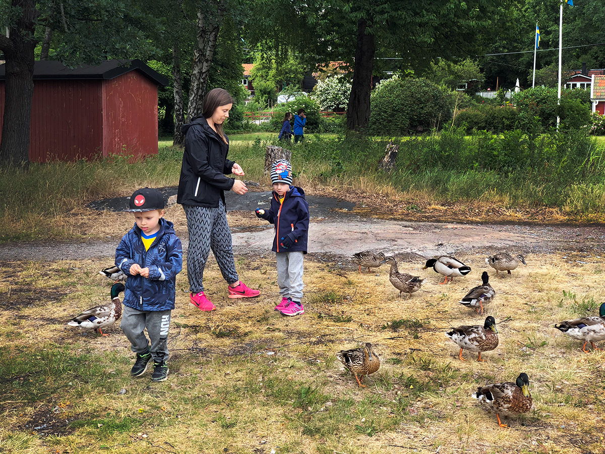 Folke, mamma och Elis matar änder