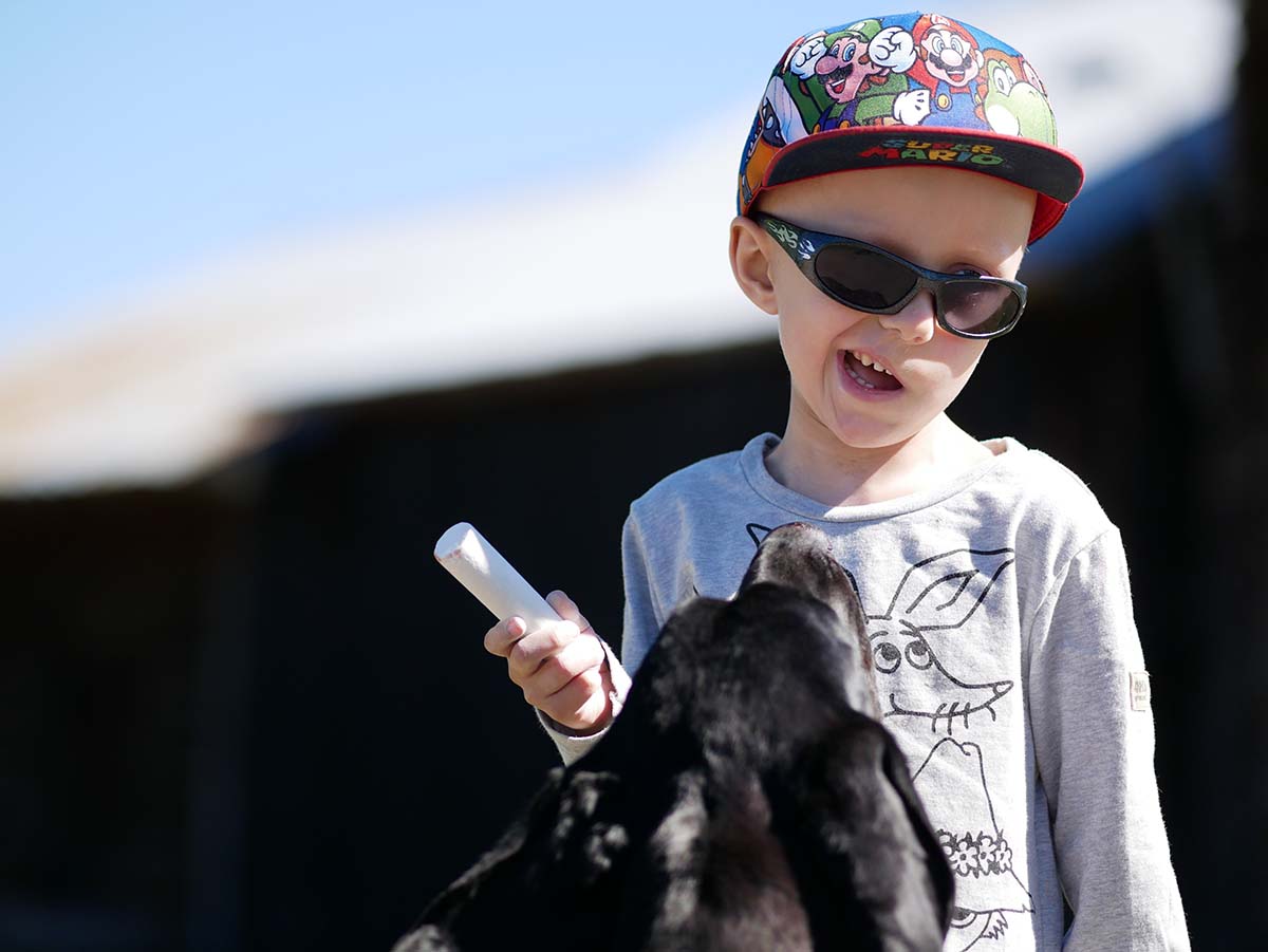 Elis träffar en hund