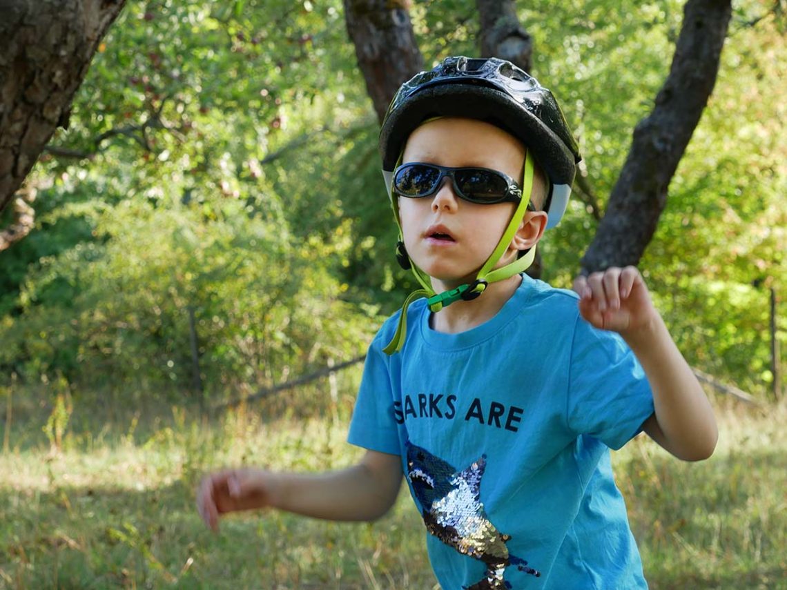 Elis ute i grönområdena i södra Bergshamra