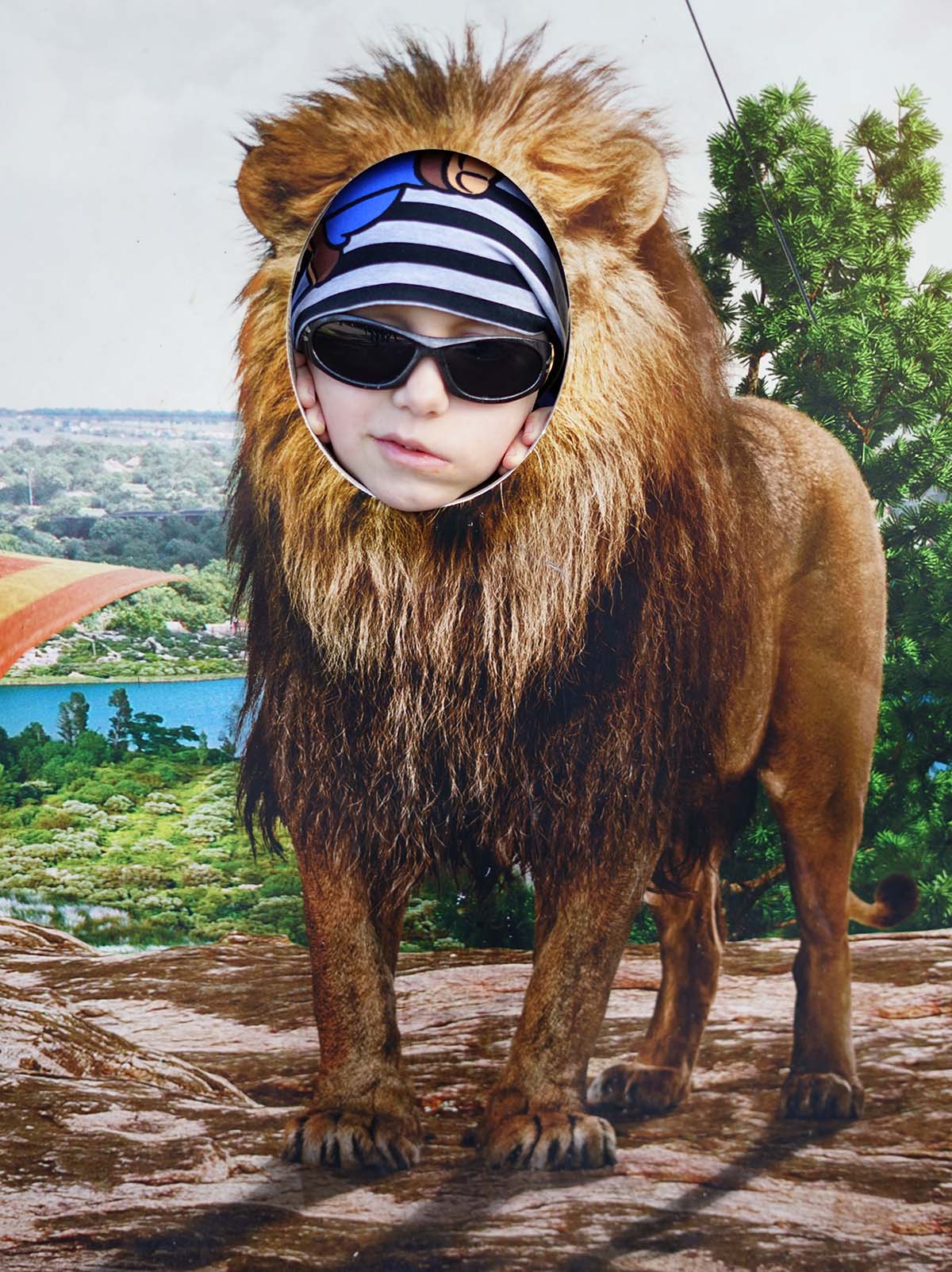 Elis sticker ut huvudet i hålet på en fotovägg som får honom att se ut som ett lejon