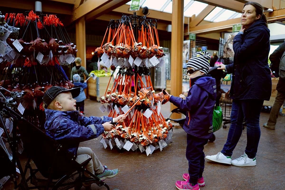 Folke och Elis har köpt varsitt tigerhuvud av plast som de fäktas med
