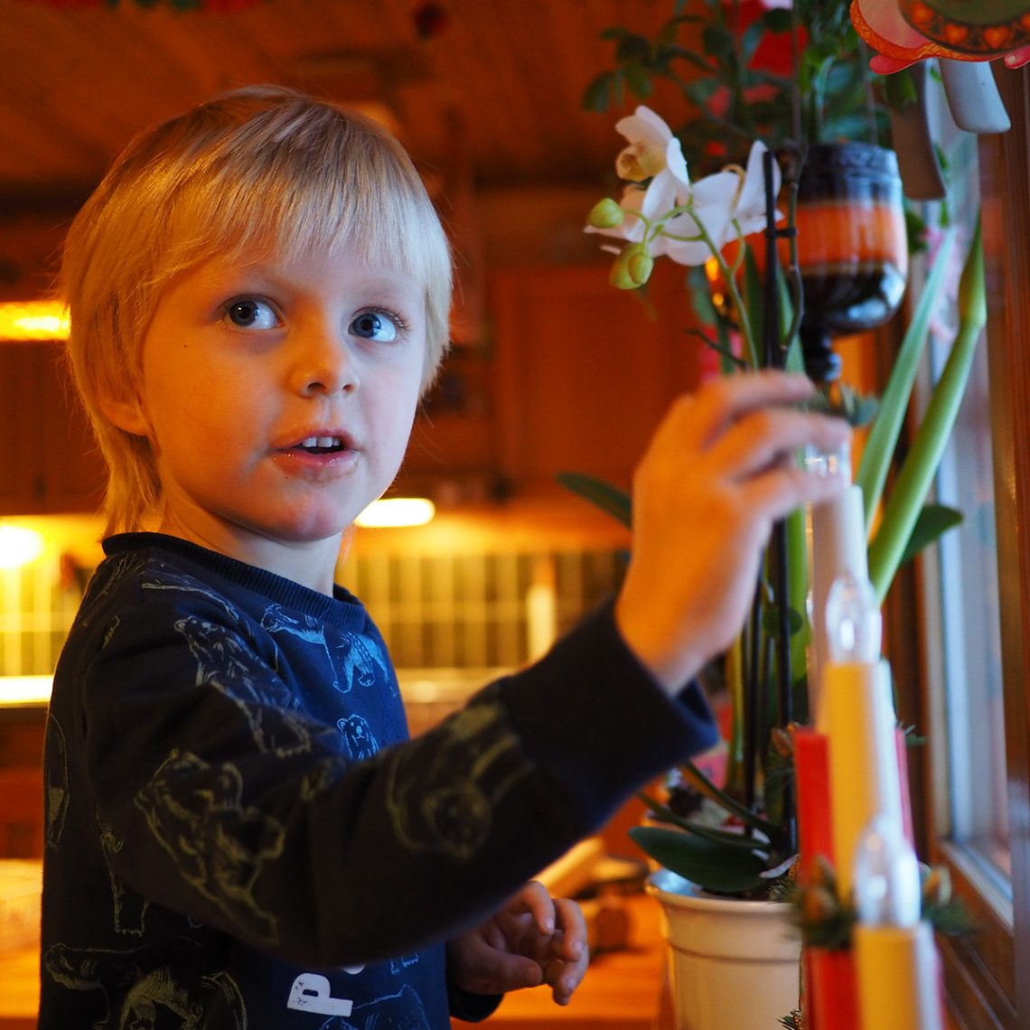 Elis hos mormor och morfar, dagen före nyårsafton 2016