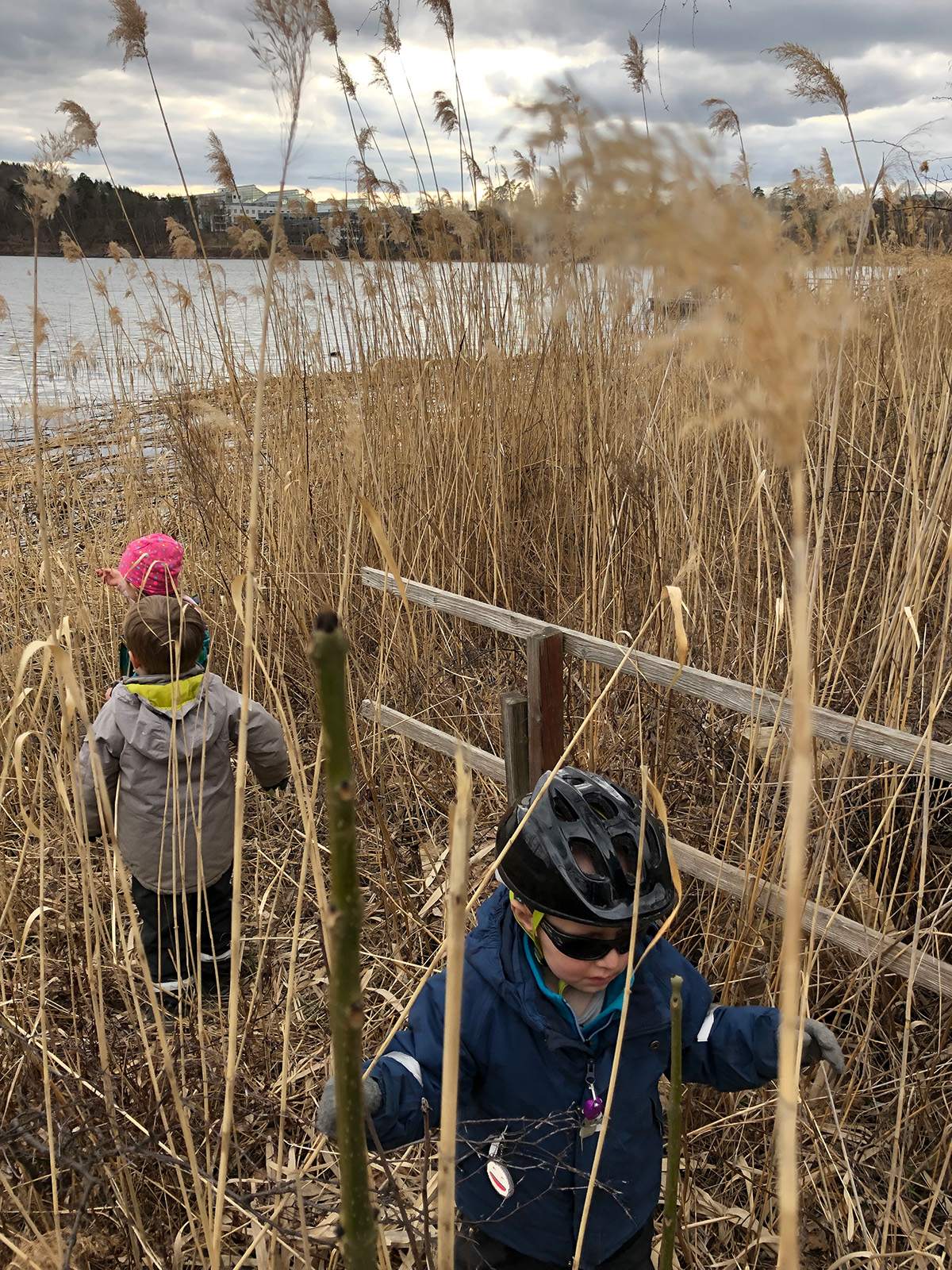 Barnen leker i vassen