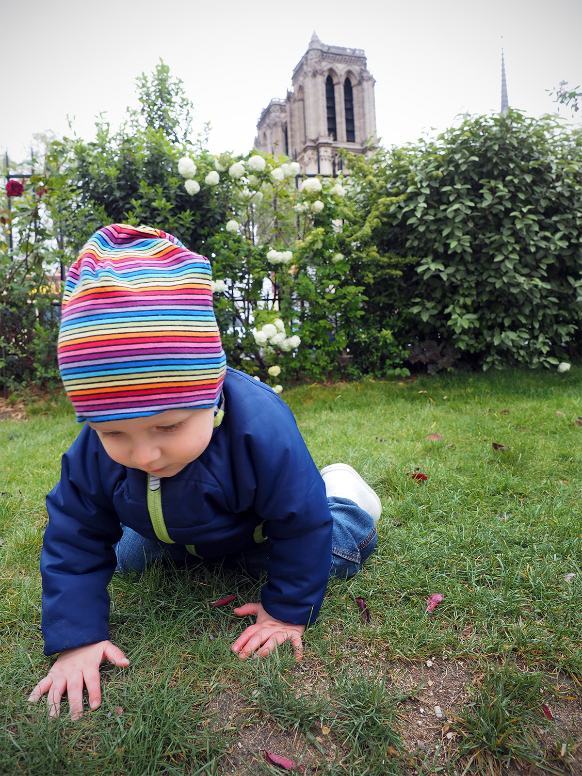Elis 2014, utanför Notre Dame i Paris
