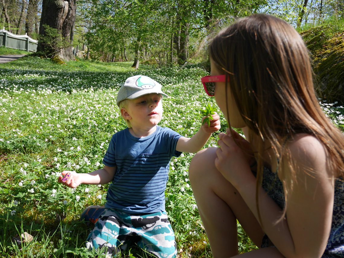 Elis och Lilly bland vitsippor, innan Elis blev sjuk