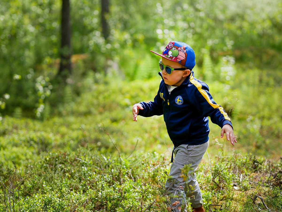 Elis går i skogen vid Fjällåstugan