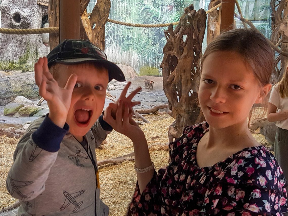 Folke och Lilly hos en babian på Skansen