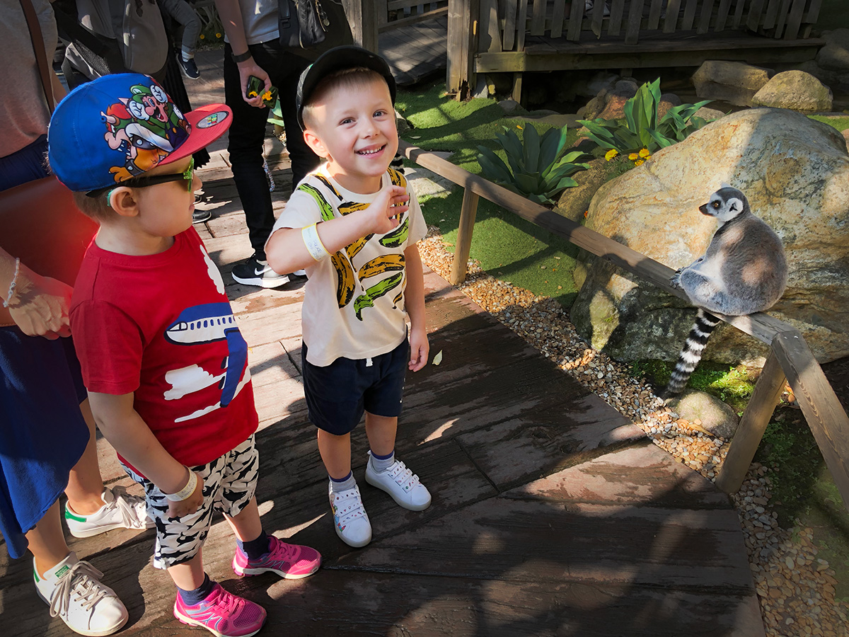 Elis och Folke träffar en lemur