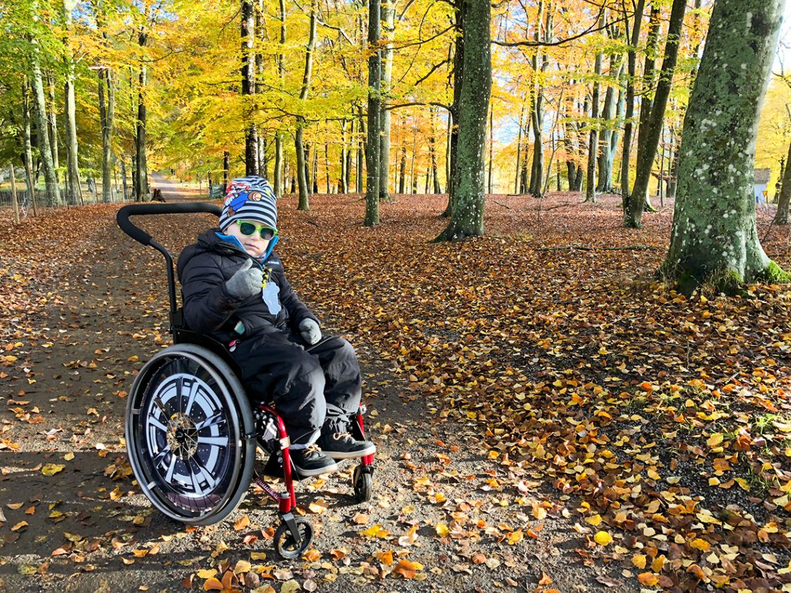 Elis i rullstolen på en skogsväg i riktning Ulriksdal