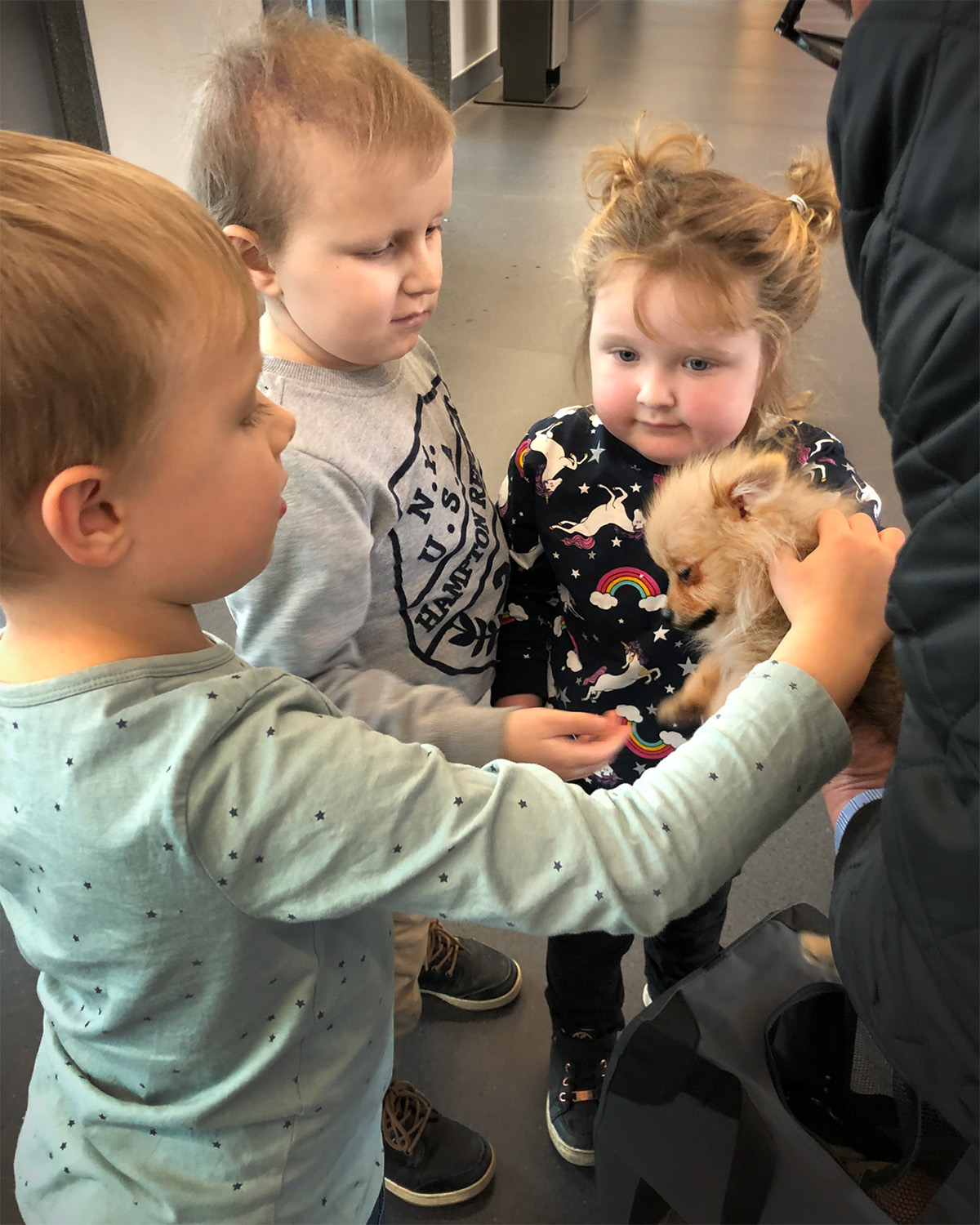 Folke, Elis och Saga klappar en liten hund