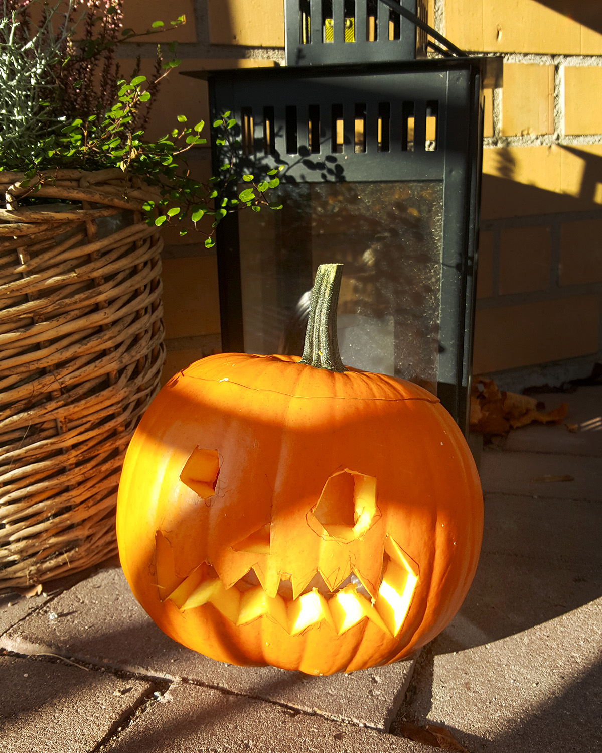 Den färdiga pumpan, utanför vår ytterdörr.