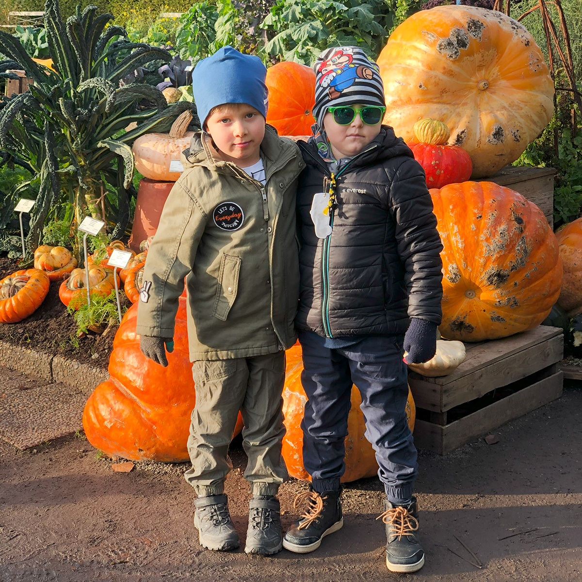 Folke och Elis håller om varandra framför Bergianskas stora pumpor